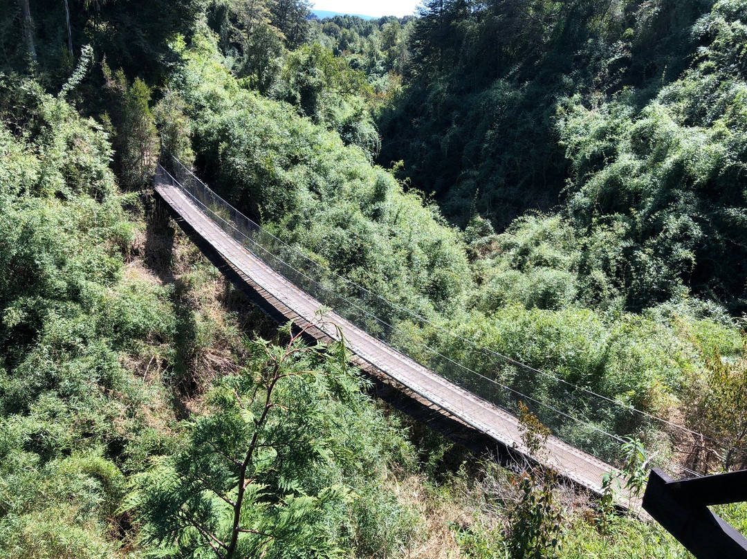Siempre Verde Turismo-Castro必去景点