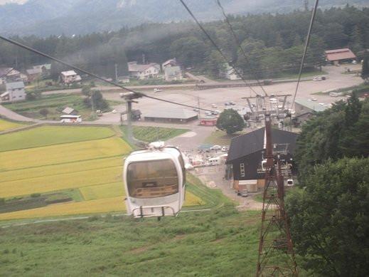 Hakuba Iwatake Snow Field景点图片