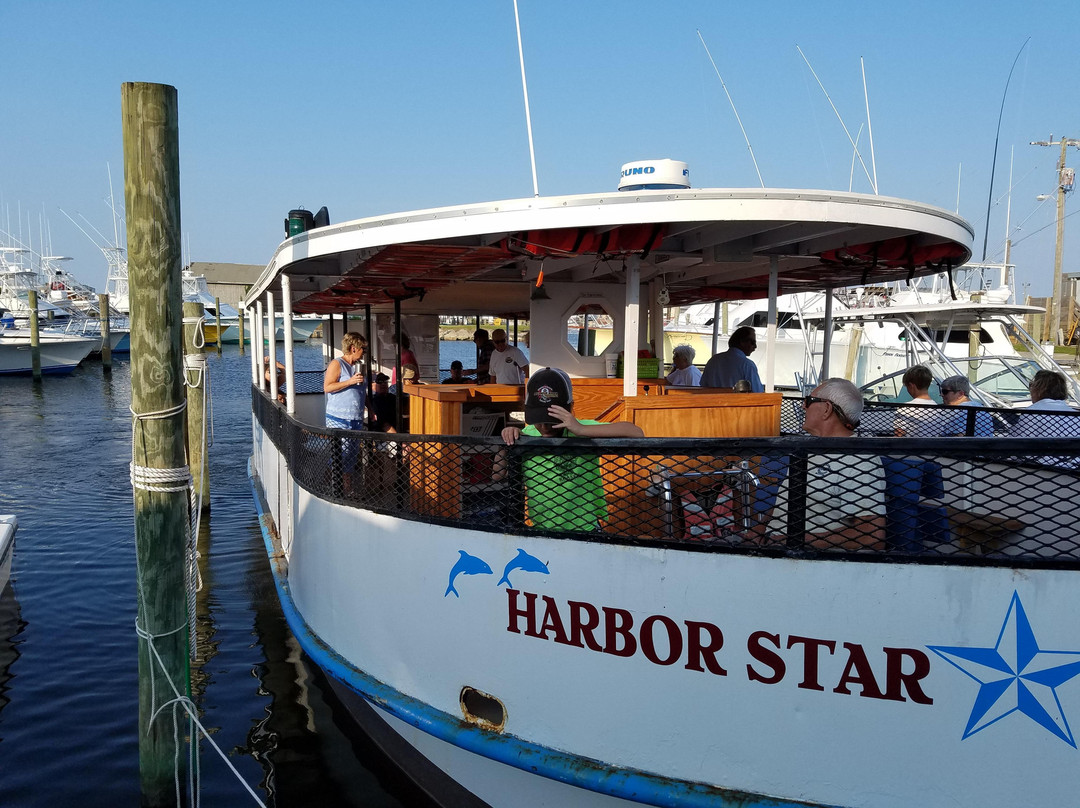 Harbor Star Dolphin Tours景点图片