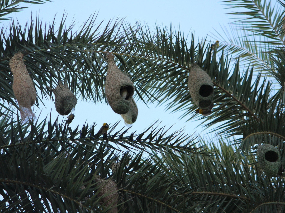 Rewild Life Biodiversity Farms景点图片