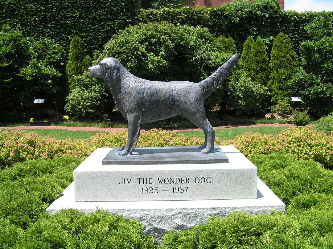 Wonder Dog Memorial Garden景点图片