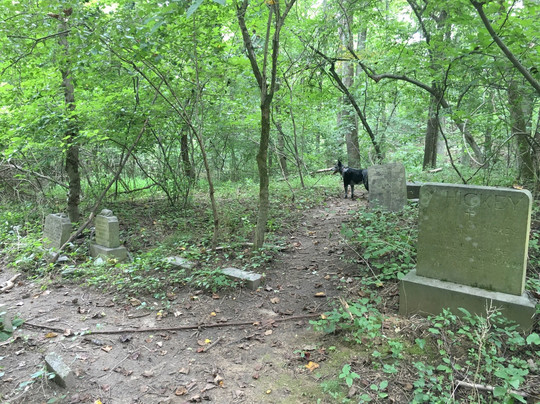 Windsor Mill旅游景点-Saint Stanislaus Kostka Catholic Church