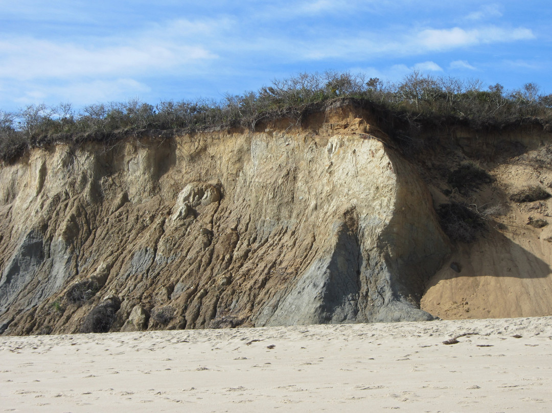 Newcomb Hollow Beach景点图片