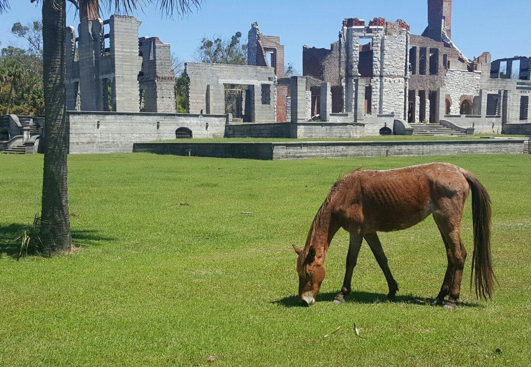 Cumberland Island National Seashore Museum景点图片