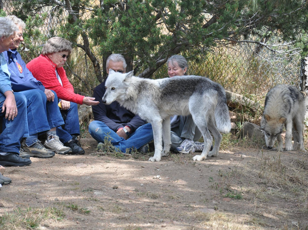 Colorado City旅游景点-Mission: Wolf