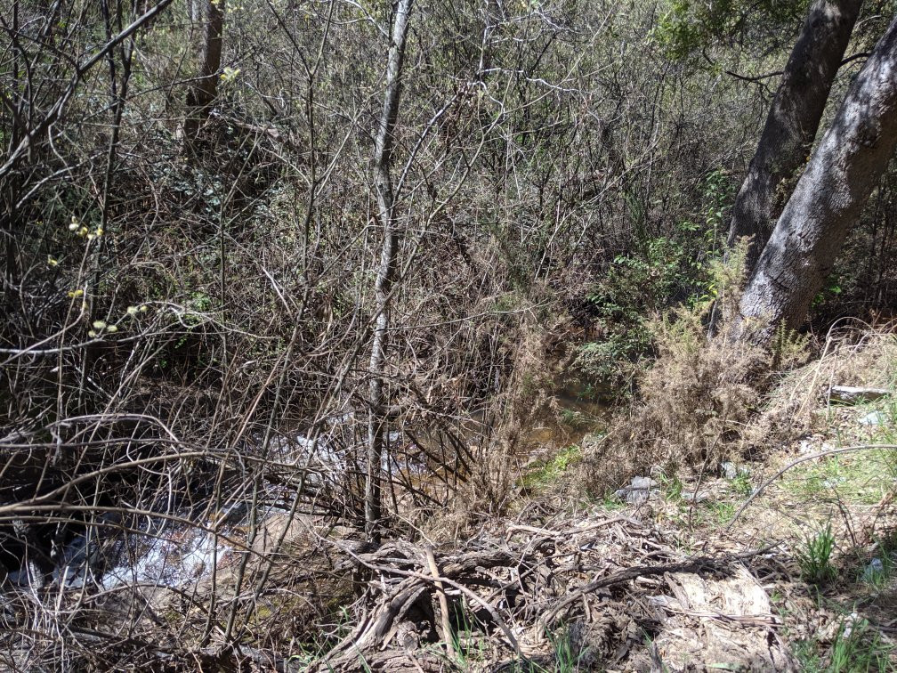 Yackandandah Mining Gorge-Yackandandah必去景点