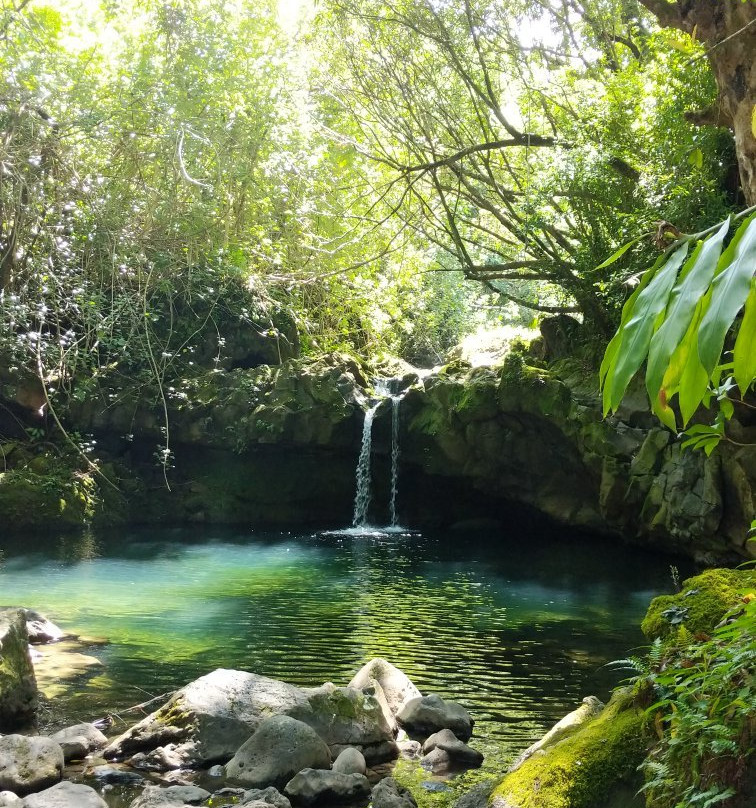 Nahiku Viewpoint-海库必去景点