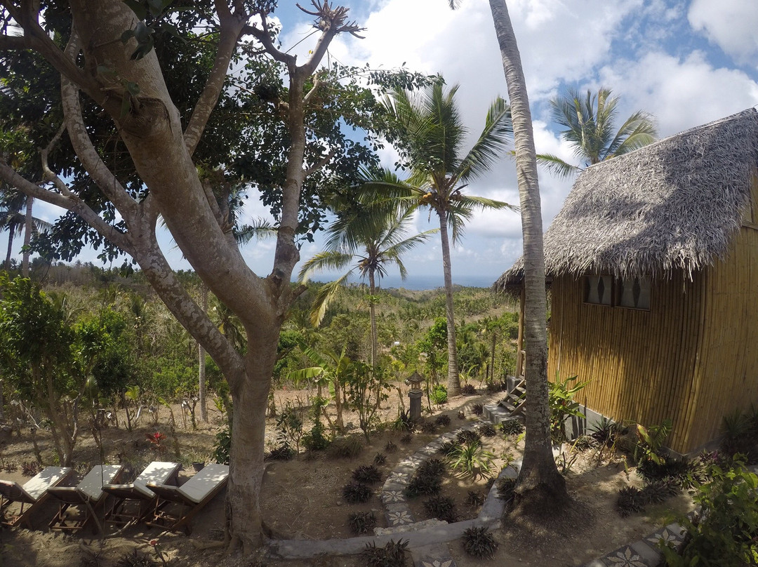 Pejukutan酒店住宿-Atuh Forest Cottage