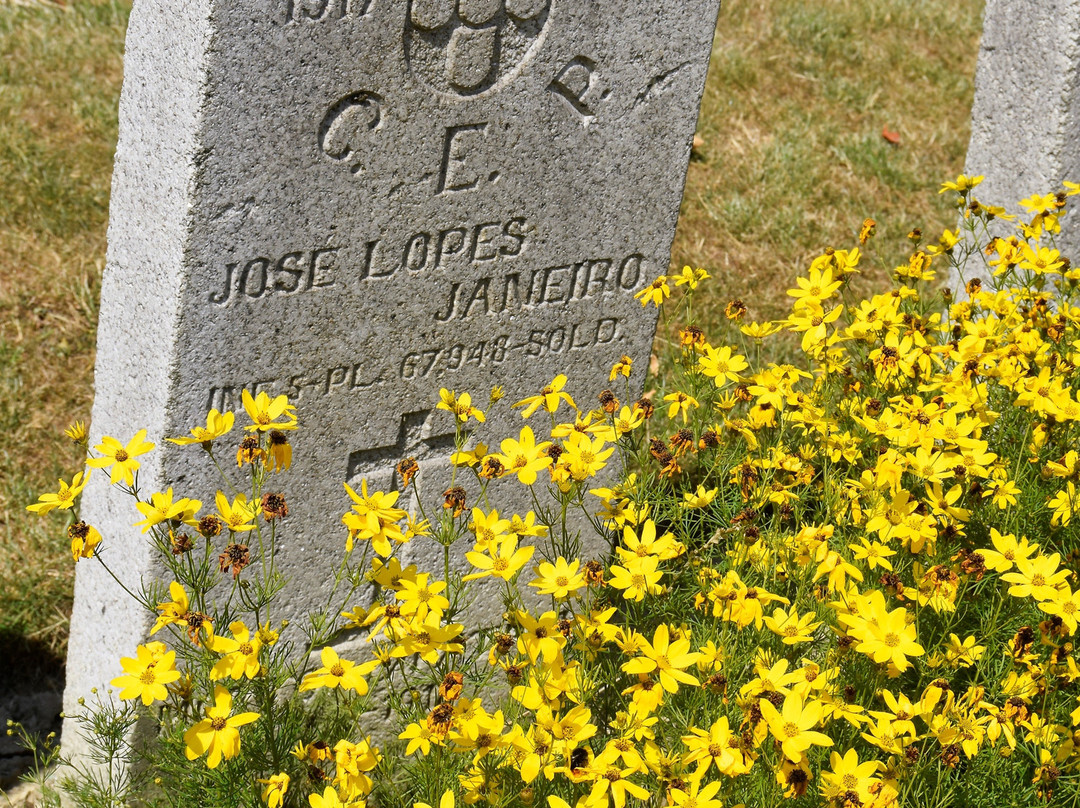 Cimetière Militaire Portugais景点图片