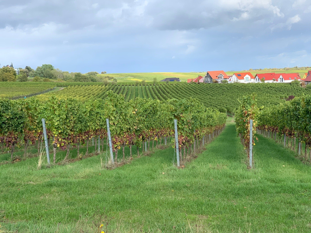 Weingut Stefan & Nicole Hitziger景点图片