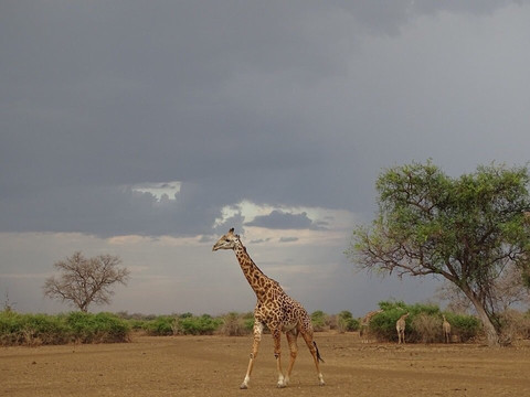 Time + Tide Mchenja主图