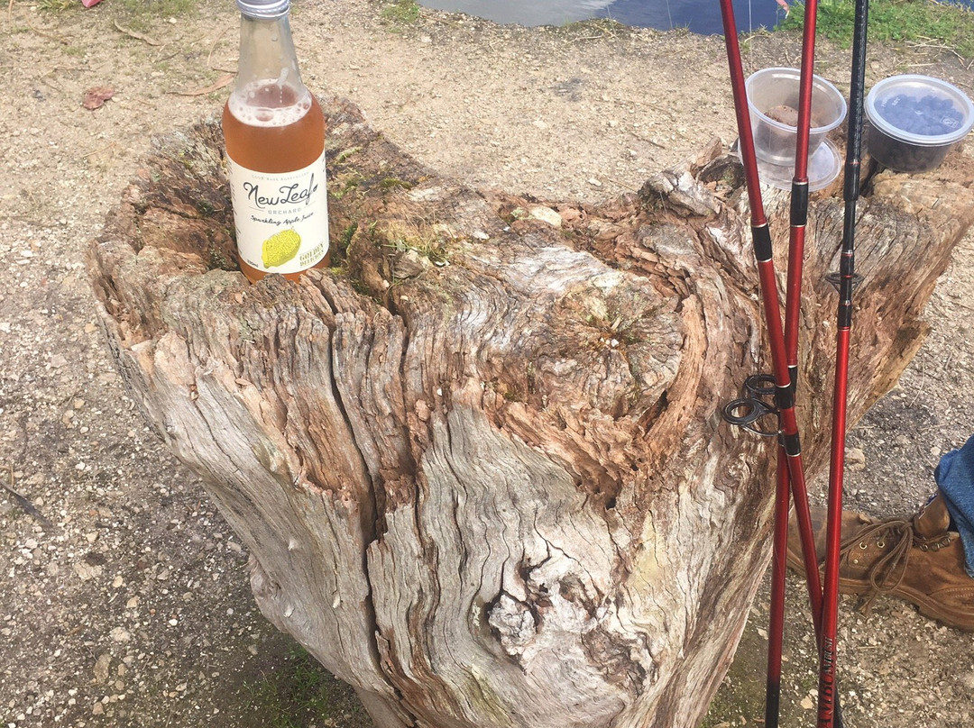 Old Vasse Trout & Marron Farm-彭伯顿必去景点