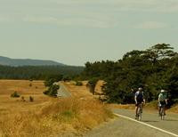 Cycle San Juan-星期五港湾必去景点