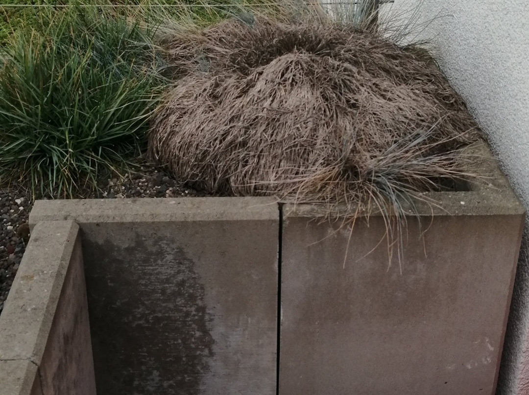 宜必思尚品埃特林根卡尔斯鲁厄酒店主图