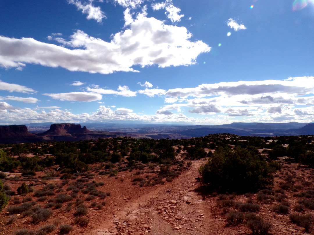 Murphy Point Trail景点图片