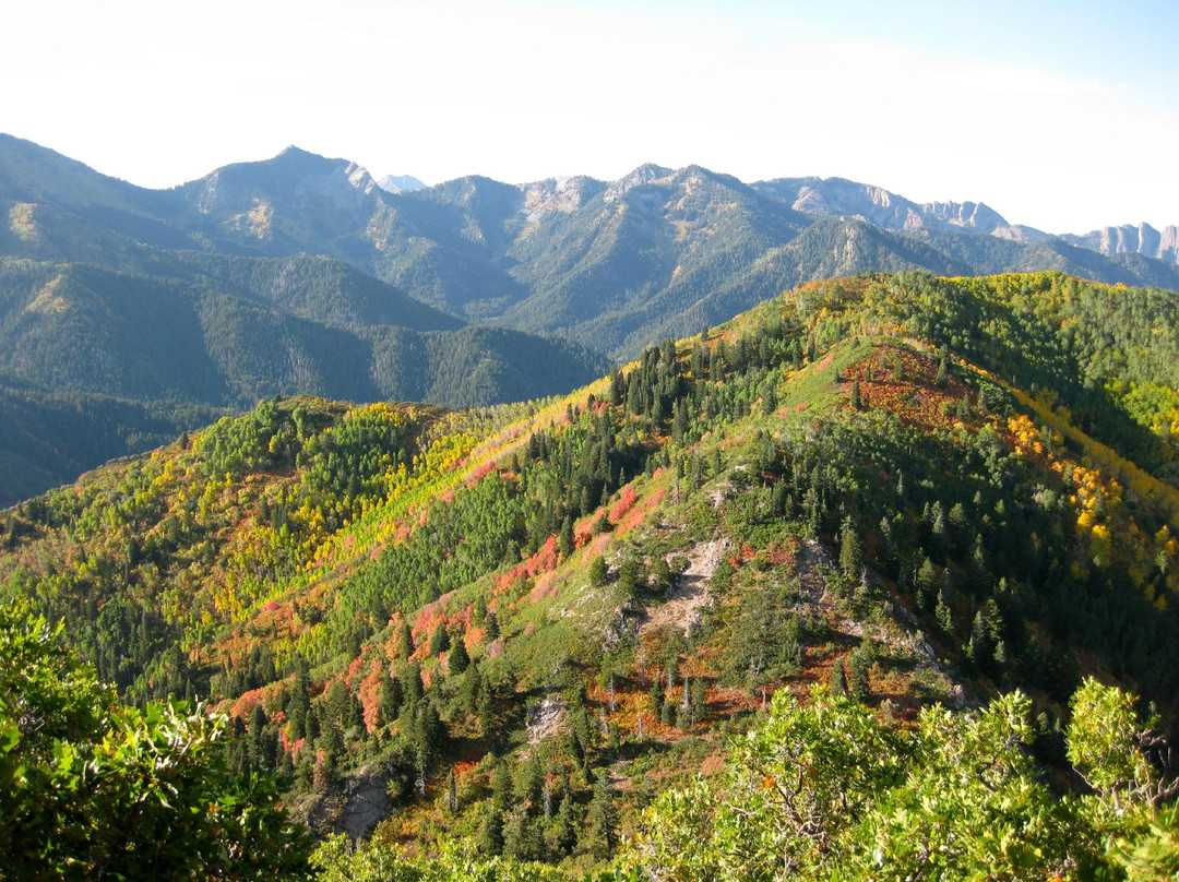 Mill Creek Canyon