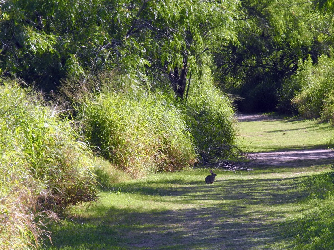 Raymondville旅游景点-Hugh Ramsey Nature Park