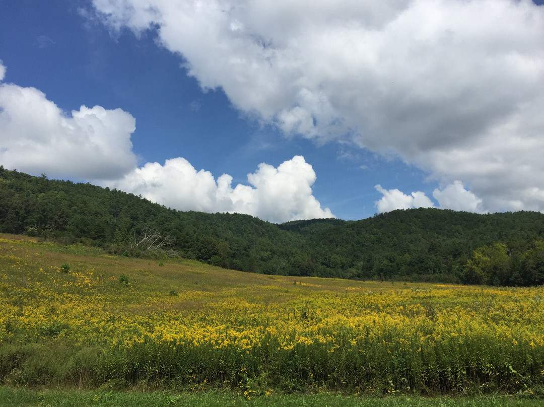 Cades Cove-大雾山国家公园必去景点