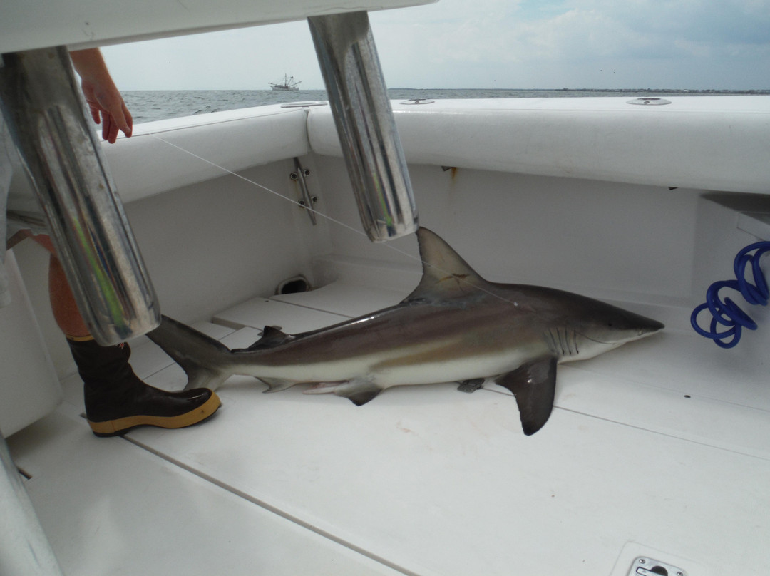 Reel Relief Fishing Charters