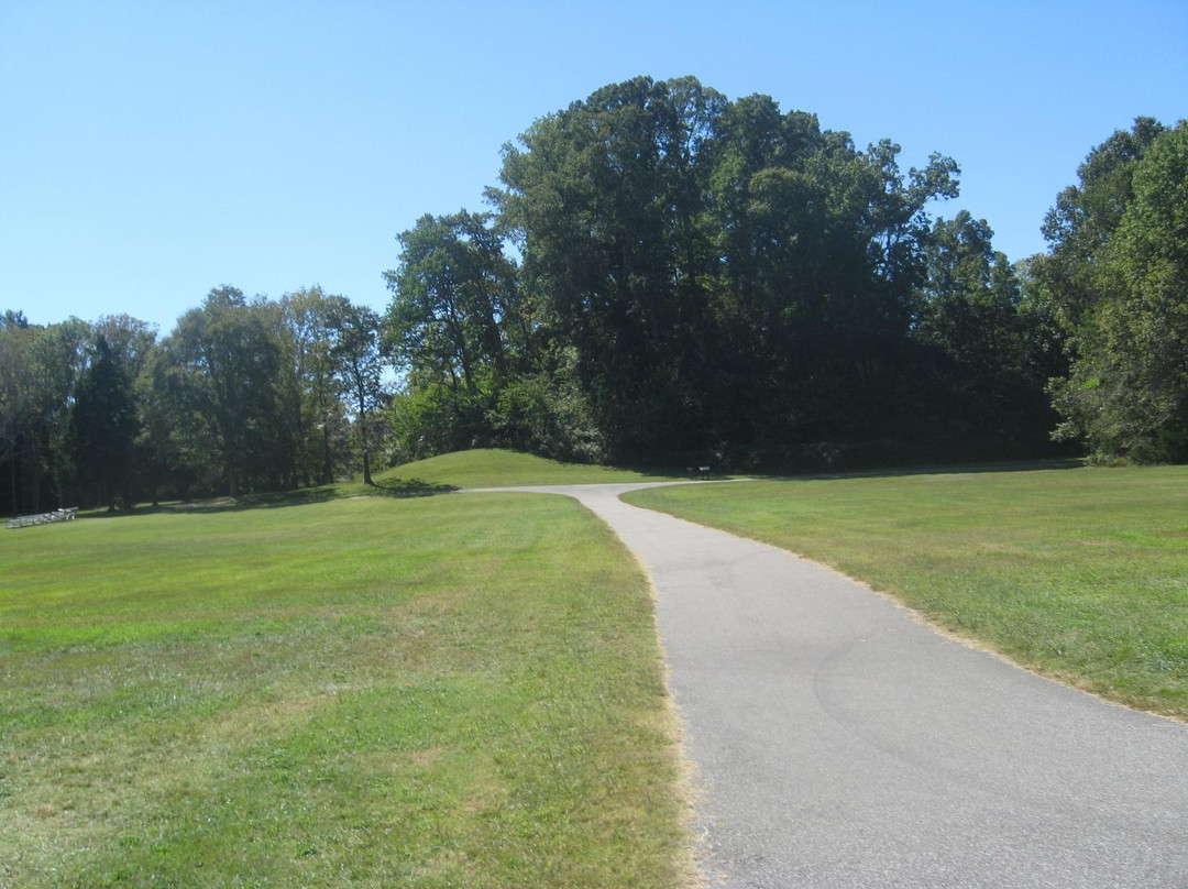 Lexington旅游景点-Pinson Mounds State Park
