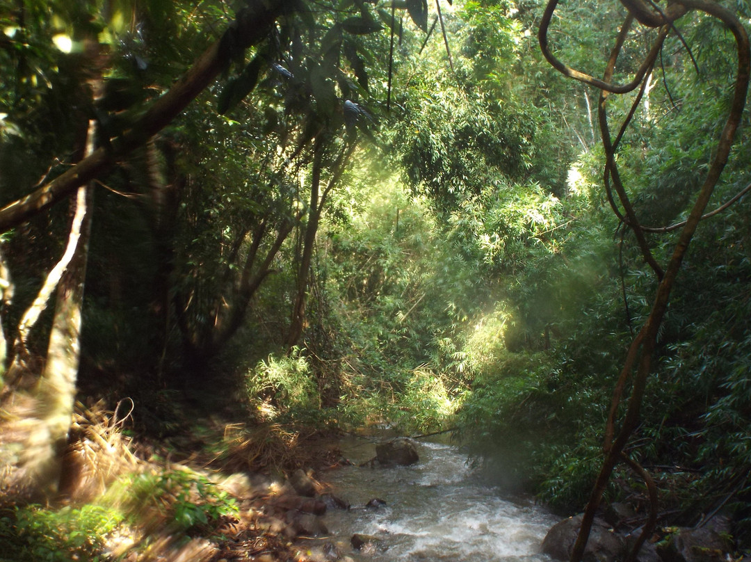 Dakdam Waterfall-森莫诺隆必去景点