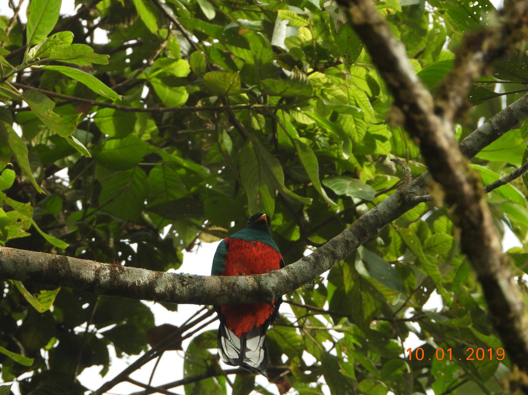 El Dorado Bird Reserve景点图片