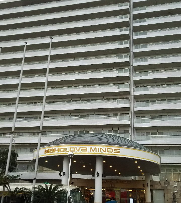 Resort Hotel Maholova Minds Miura主图