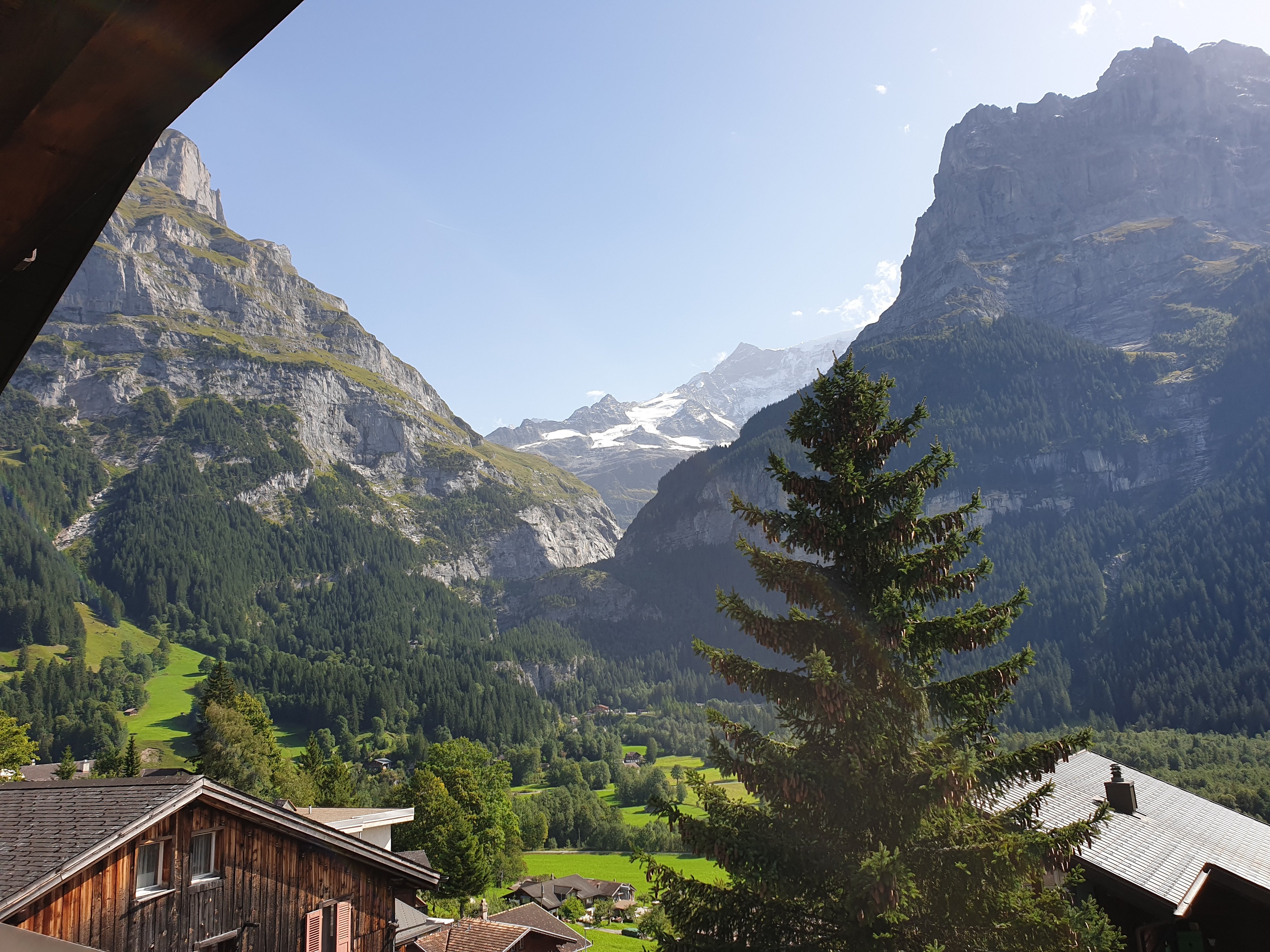 楚根大酒店-酒店景观