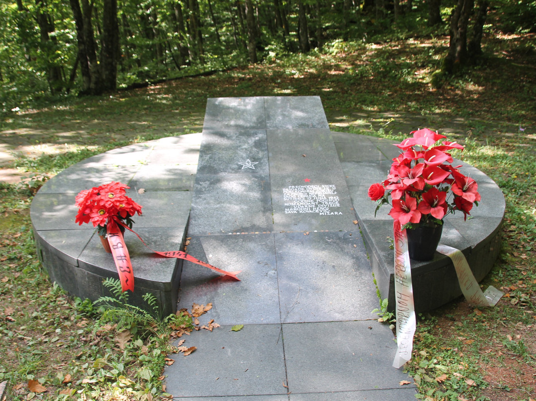 Tjentište War Memorial景点图片