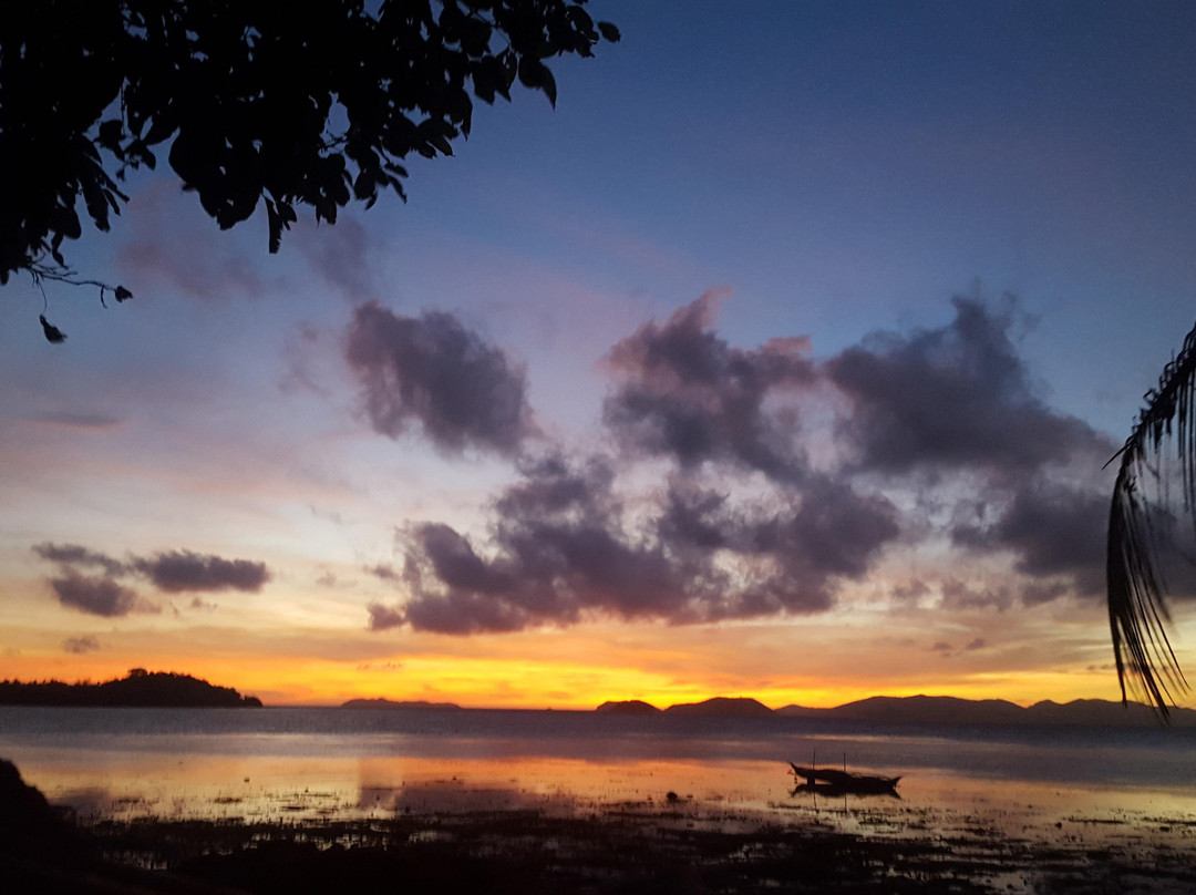 PALAWAN NATURE EXPEDITIONS景点图片