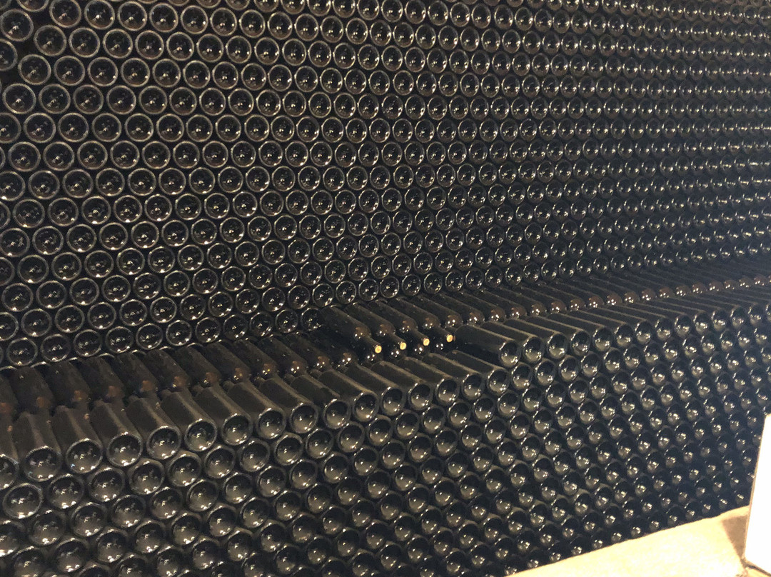 Quinta do Infantado-Vila Real必去景点