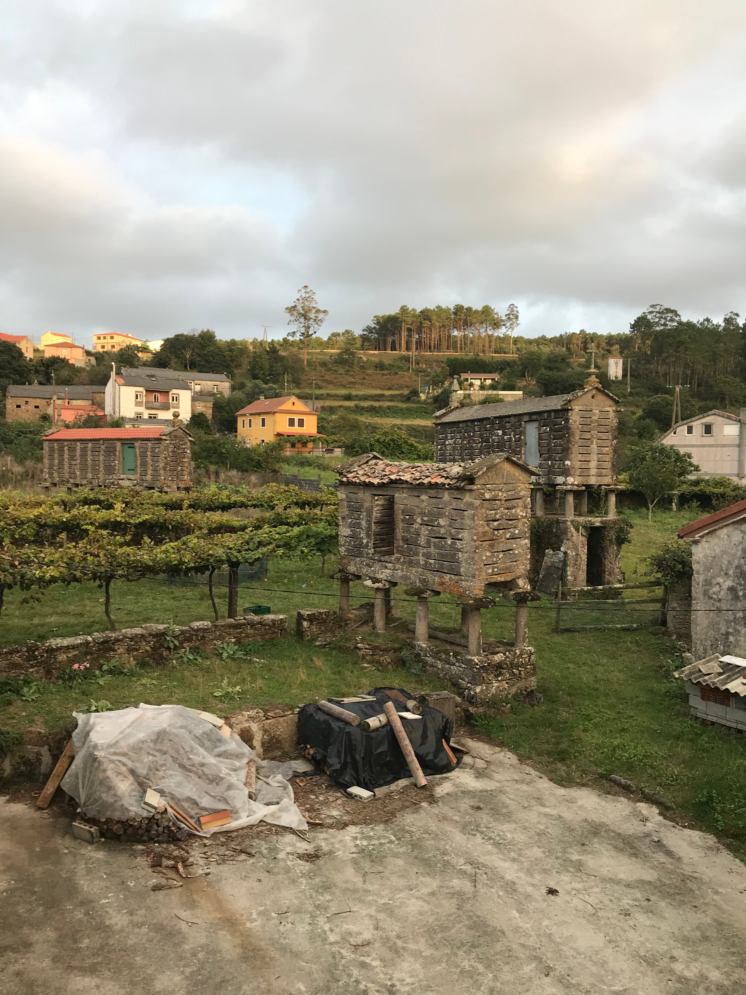 Casa Raúl-官方