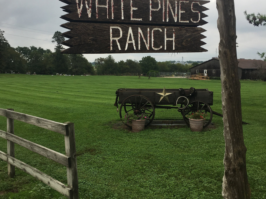 White Pines Ranch景点图片