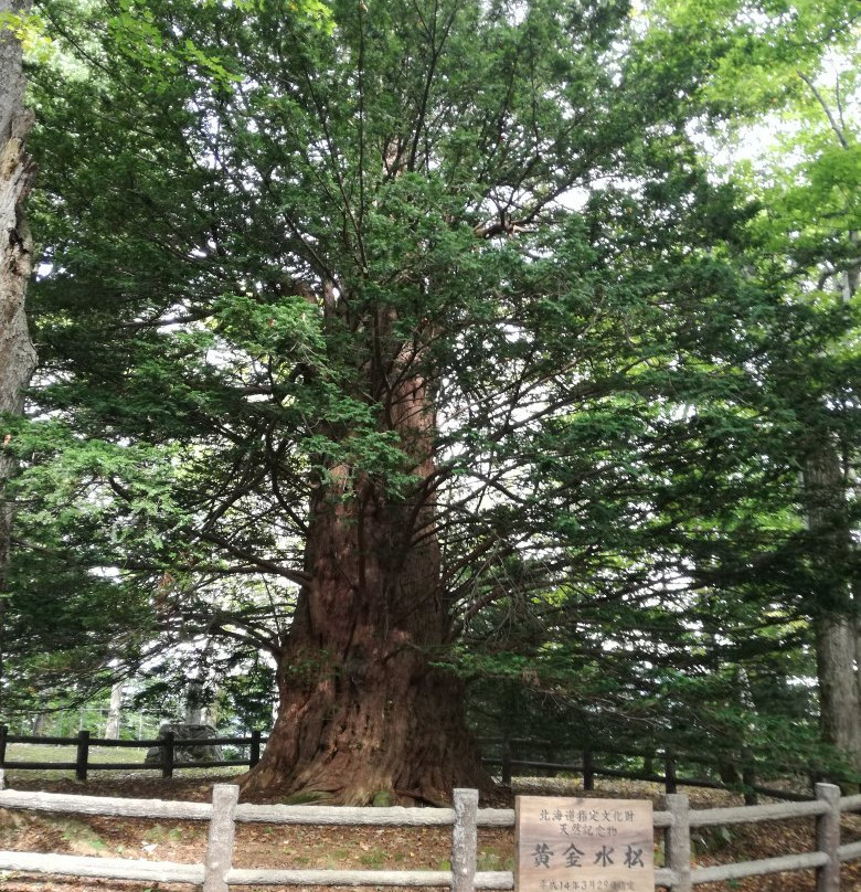 Kogane Mizumatsu-芦别市必去景点