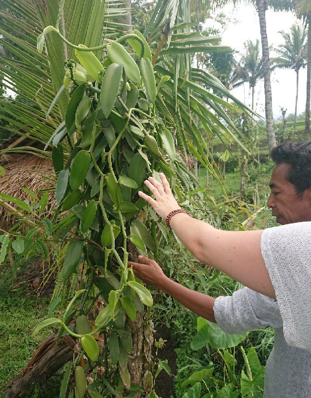Tetebatu Tour Guide-Tetebatu必去景点
