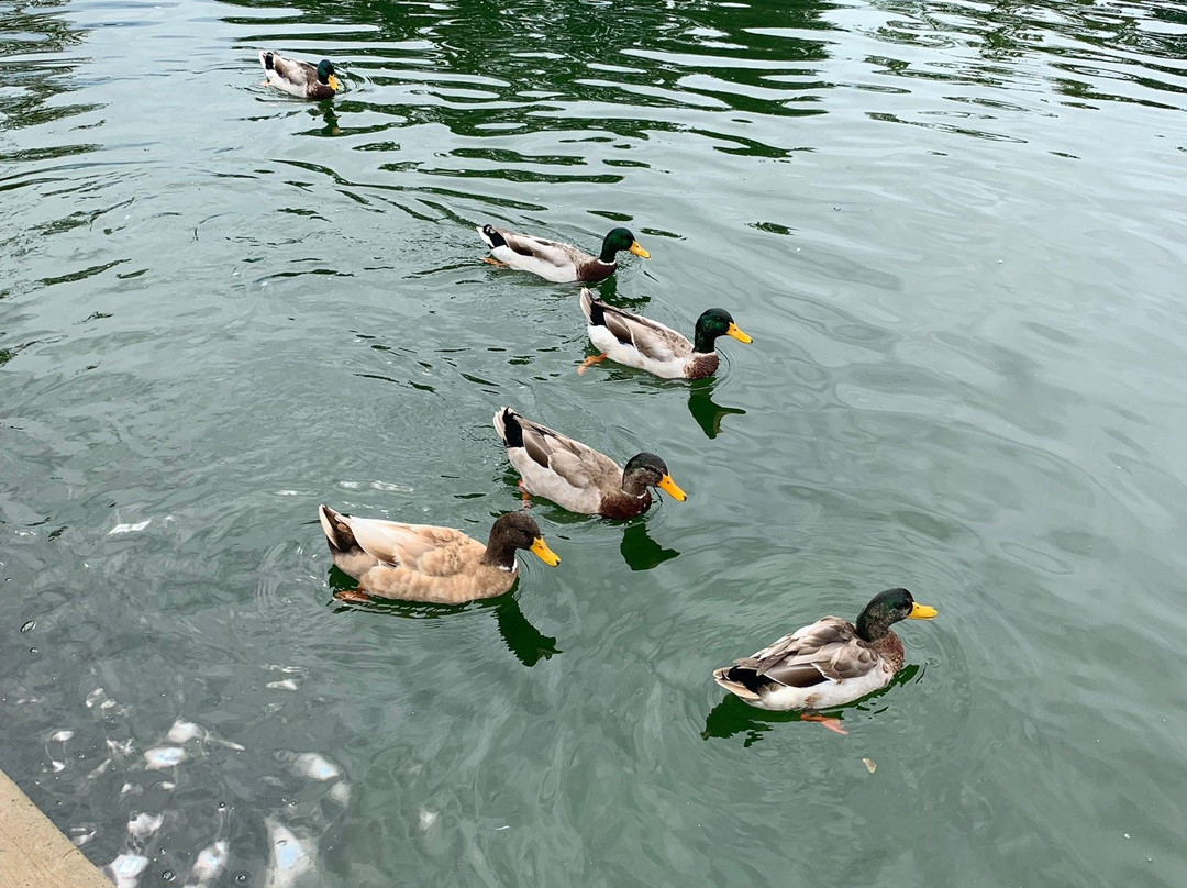 Neosho Federal Fish Hatchery-Neosho必去景点