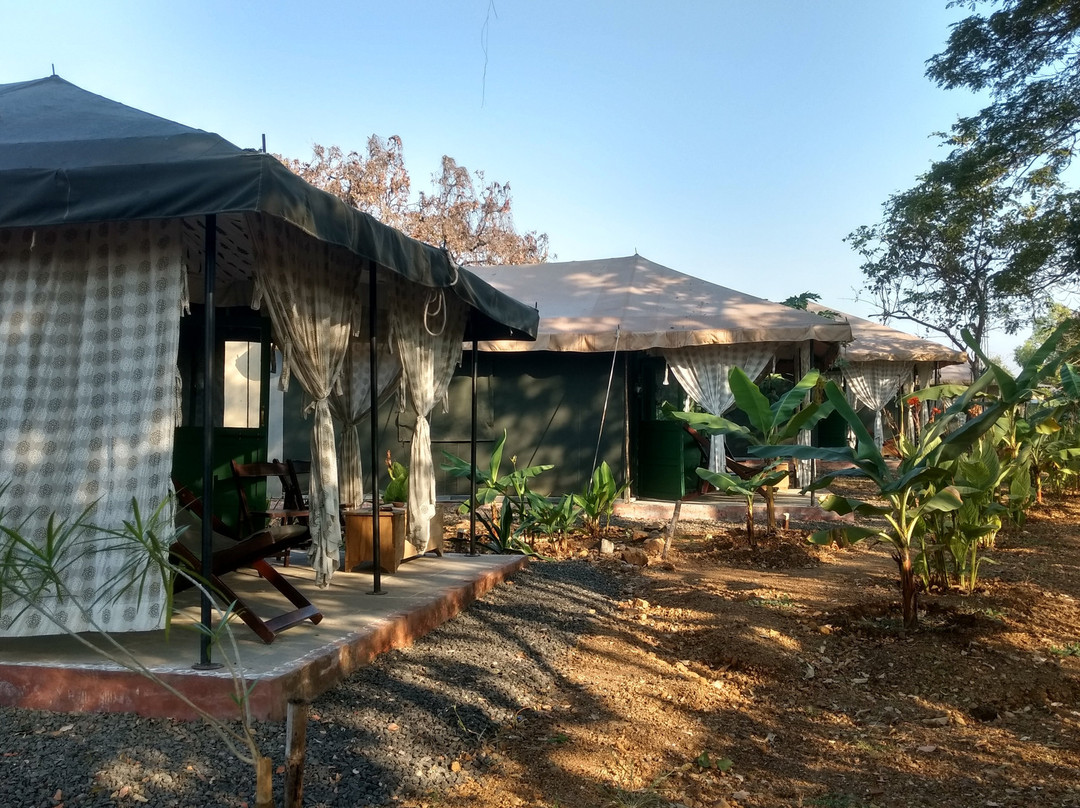 Bohemyan Blue Stay主图