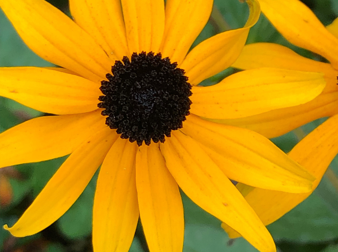 Allison Inn & Spa主图