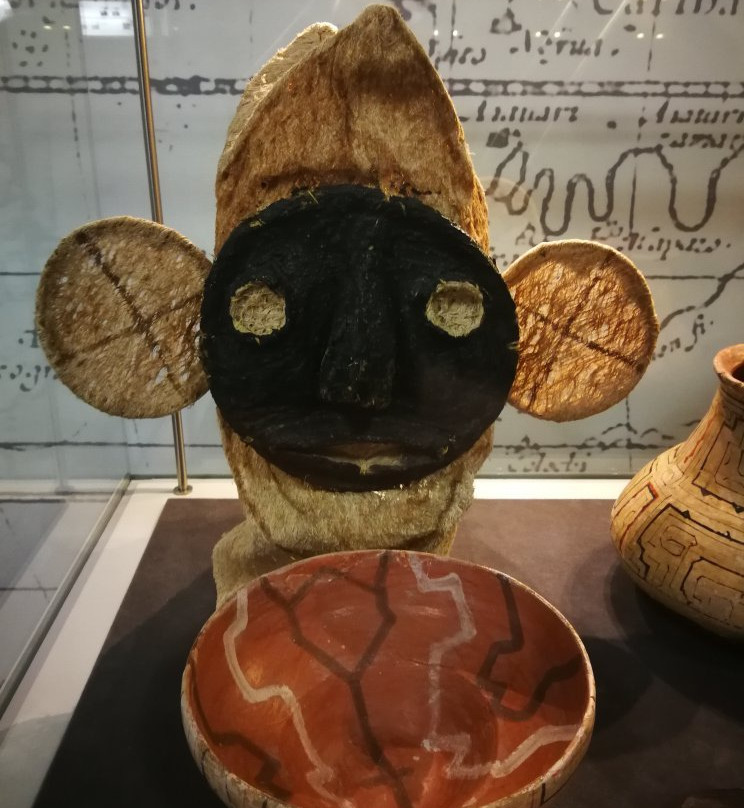 Tony Halik Explorers' Museum景点图片