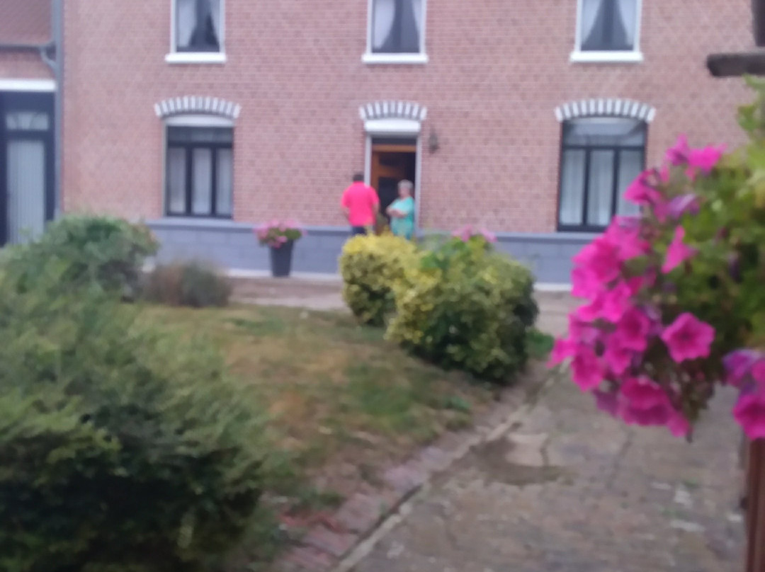 Ursule la Libellule