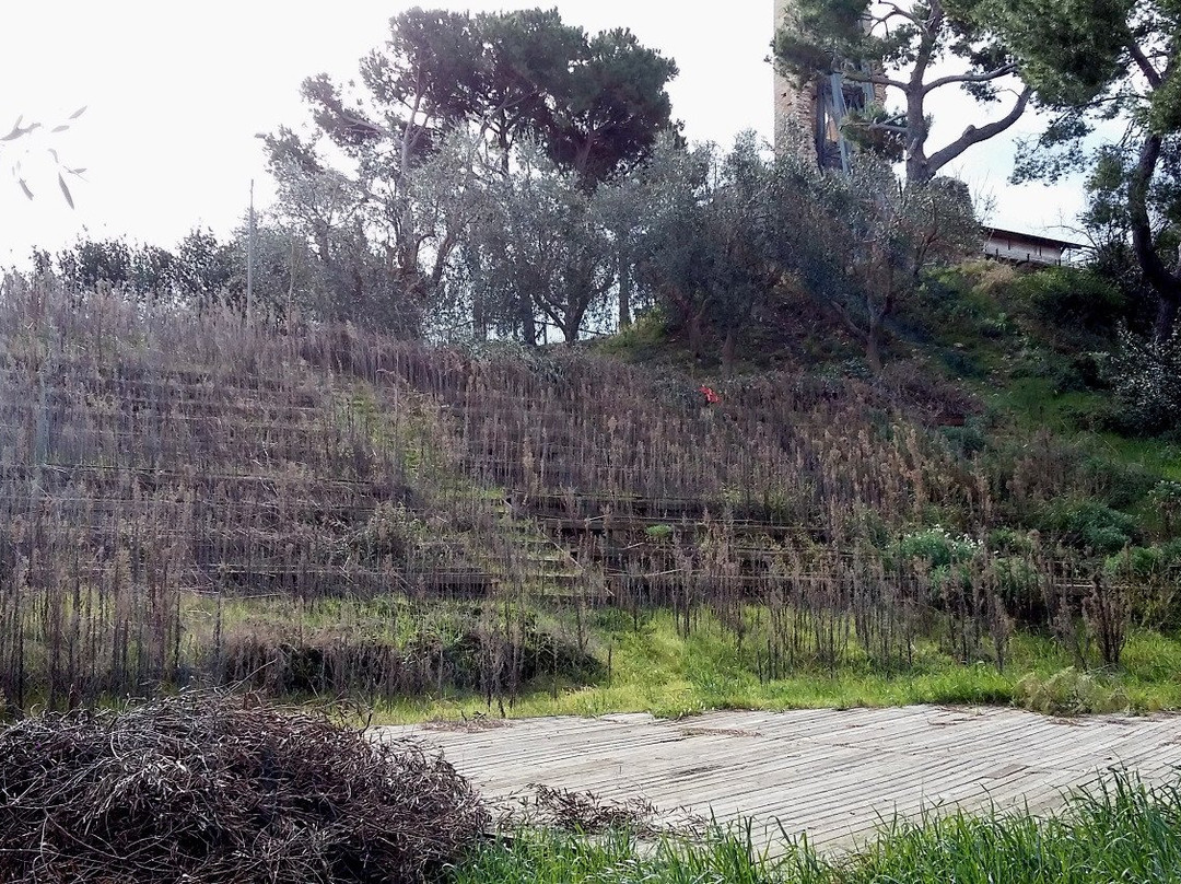 Castello di Sant'Andrea-Cupra Marittima必去景点