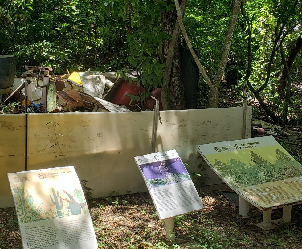 Jardín Botánico de San Andrés-圣安德烈斯必去景点