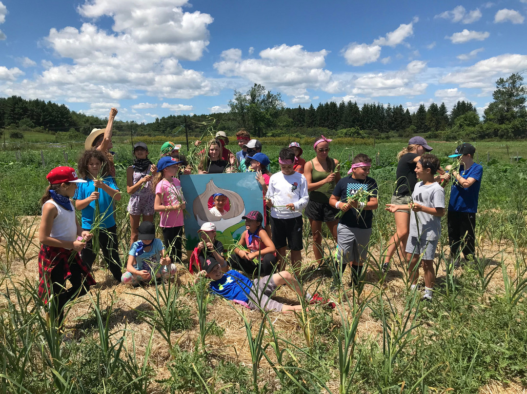 Albion Hills Conservation Park-卡利登必去景点