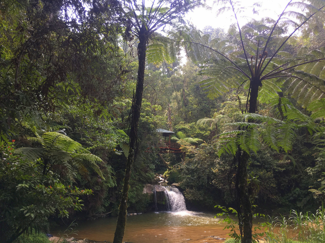 Parit falls-丹那拉塔必去景点