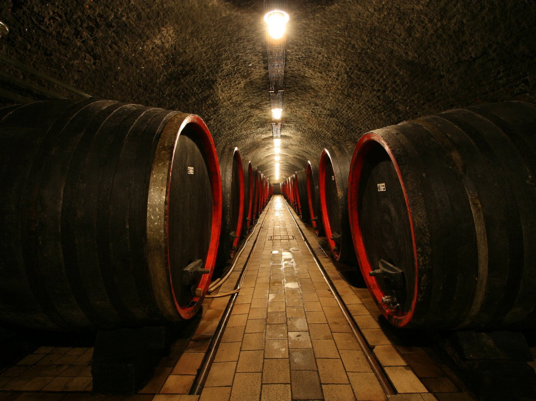 Vinařská stodola (Wine barn) CHÂTEAU VALTICE-Valtice必去景点