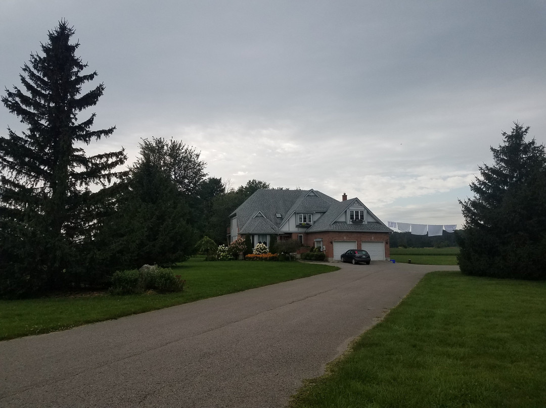 A Touch of Country Bed & Breakfast主图