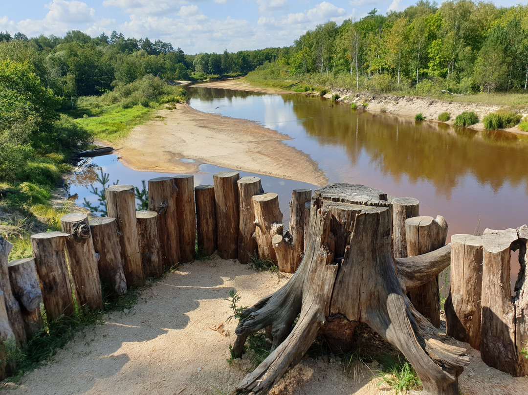 Oksky State Nature Biosphere Reserve-Brykin Bor必去景点