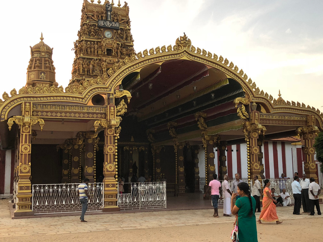 Trips To Srilanka景点图片