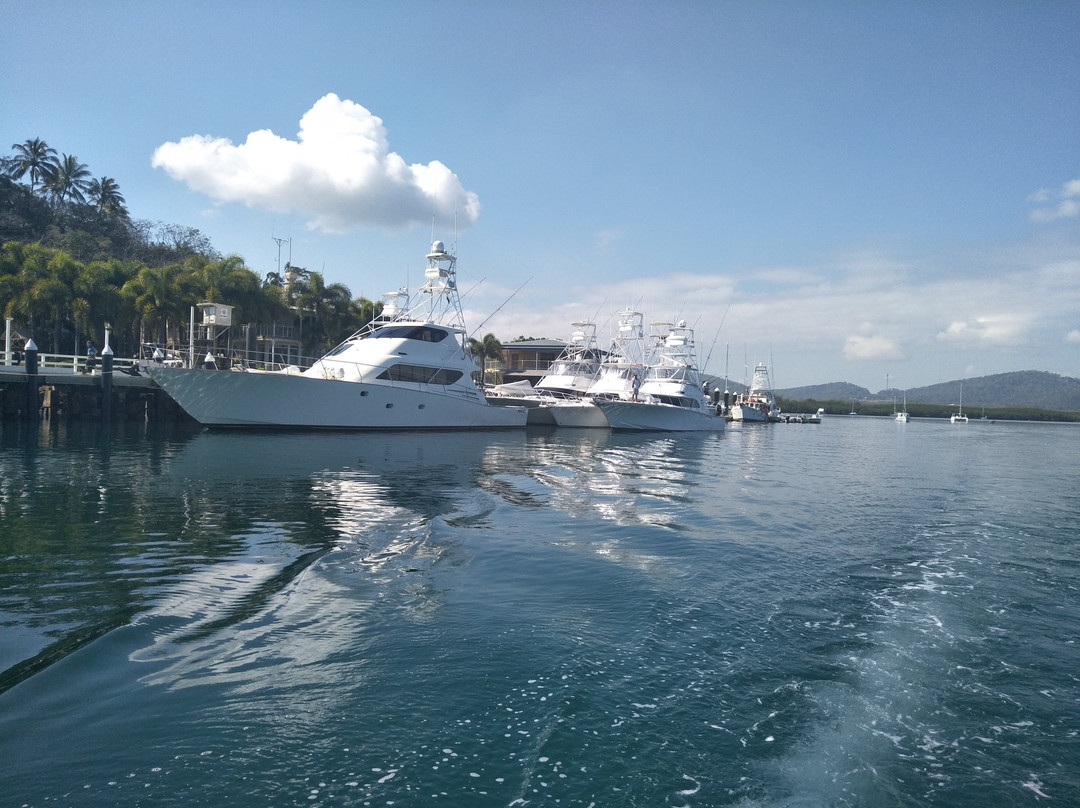 Cooktown All Out Adventures-库克敦必去景点