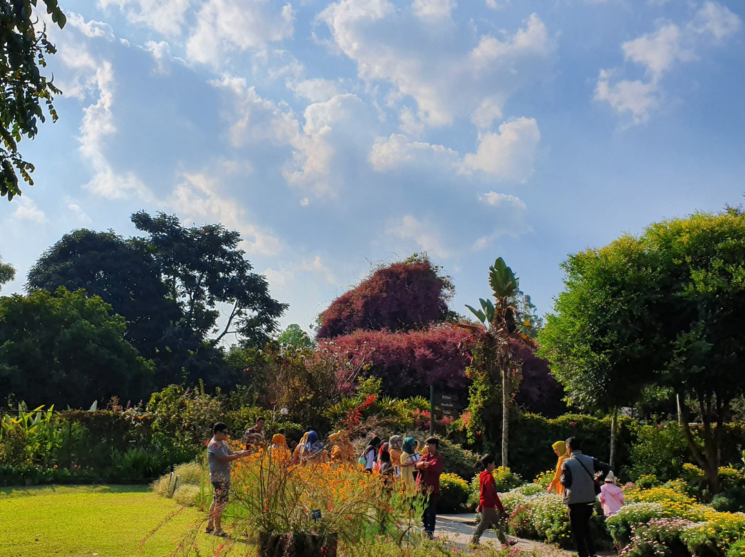 Kebun Mawar Garut景点图片